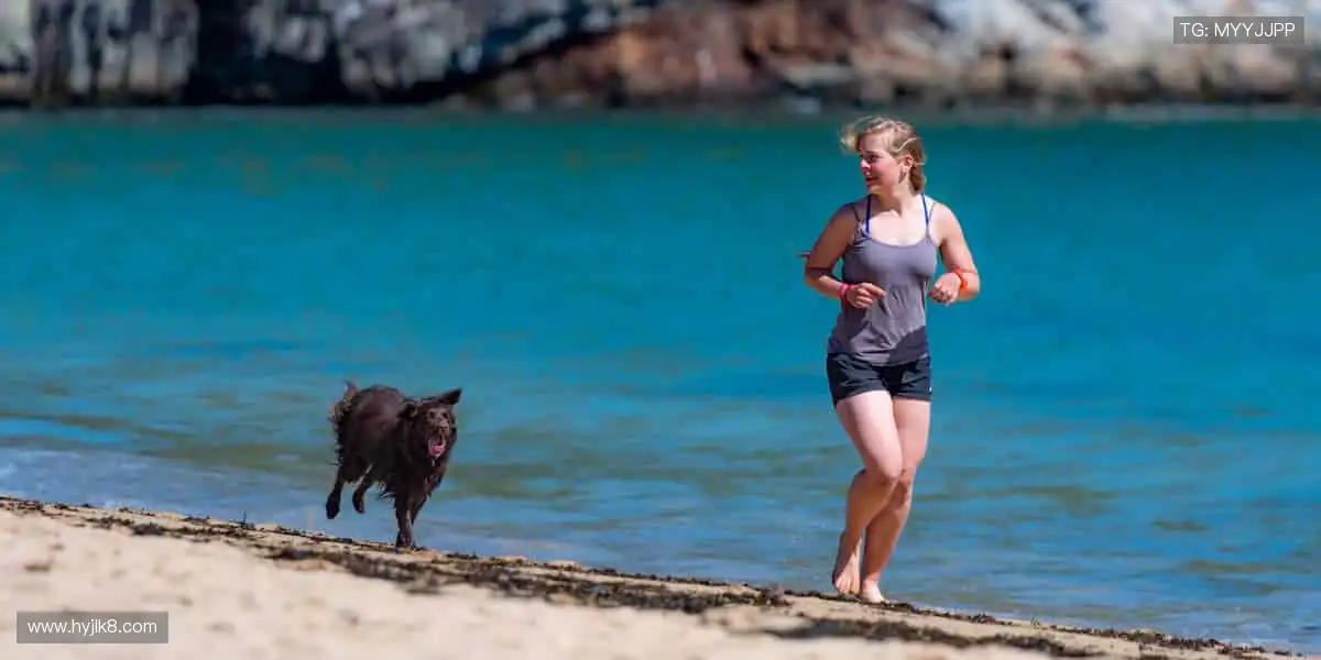🎁球迷专属装备，把热爱穿在身上！👕⚽️