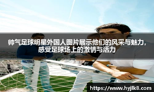 mk体育官网入口